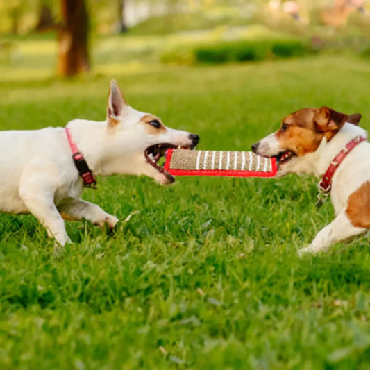 Dog Training Products, Jaoseko Dog Bite Rods, Grinding Teeth, Stick, Biting Target Pet Supplies